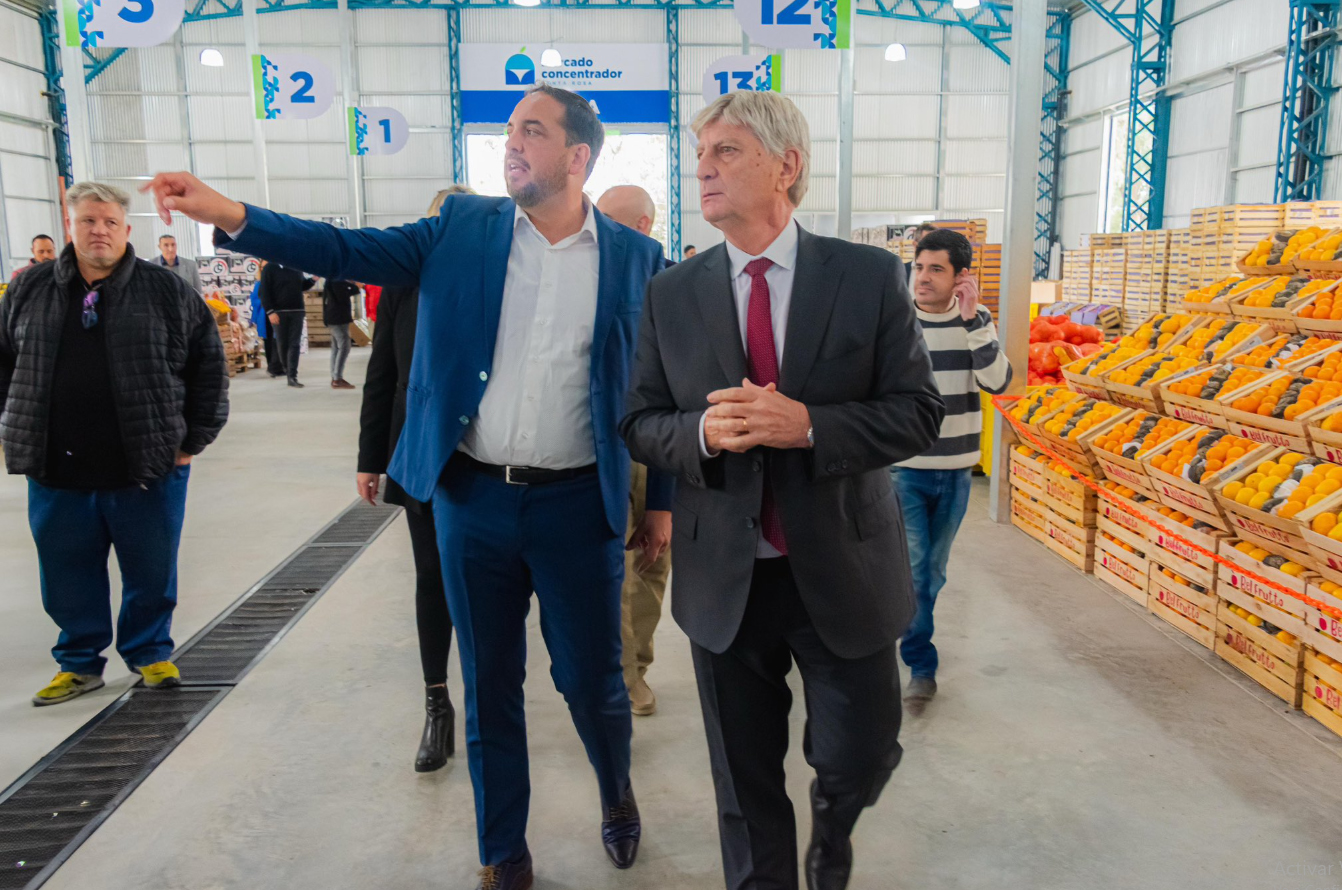 luciano di napoli sergio ziliotto mercado concentrador