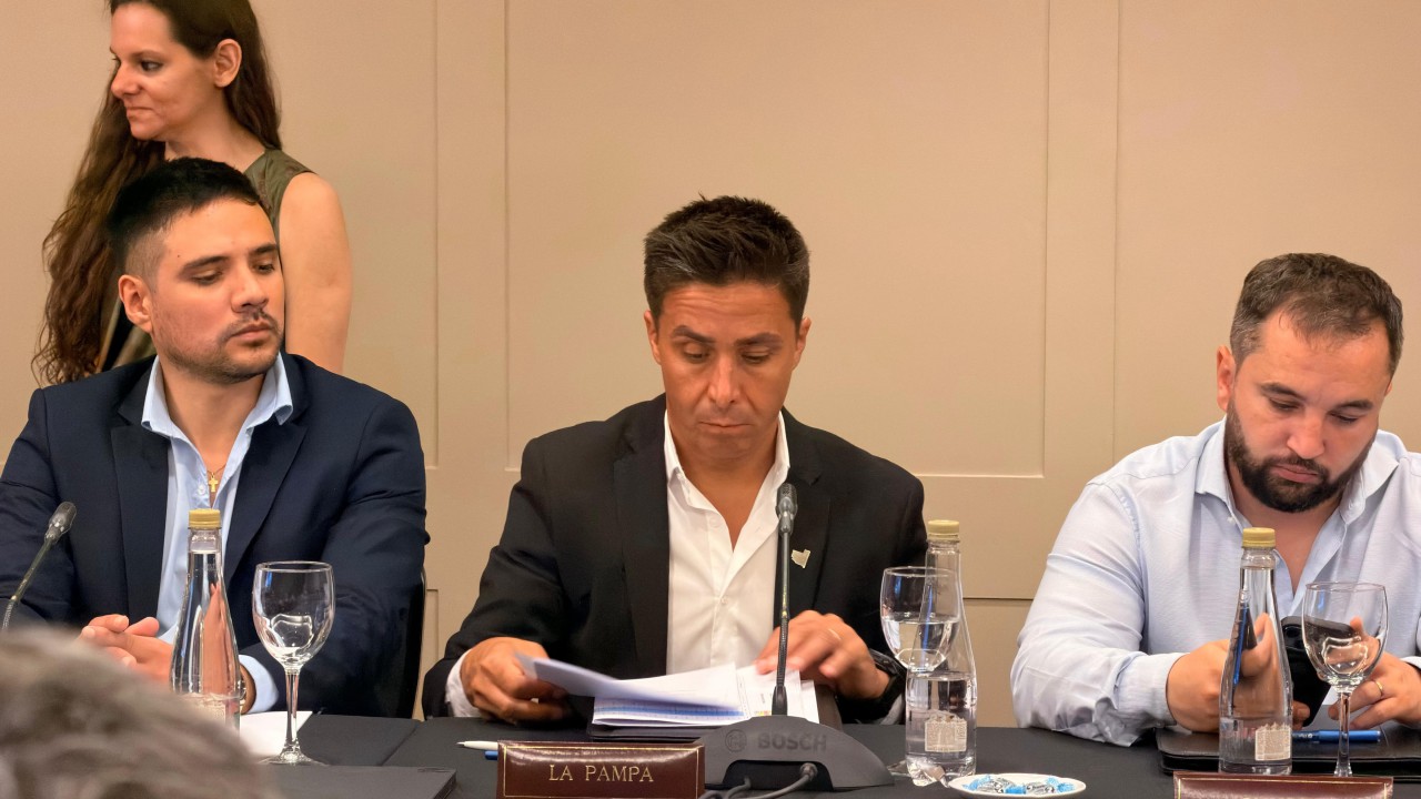 intronati en nacion dos