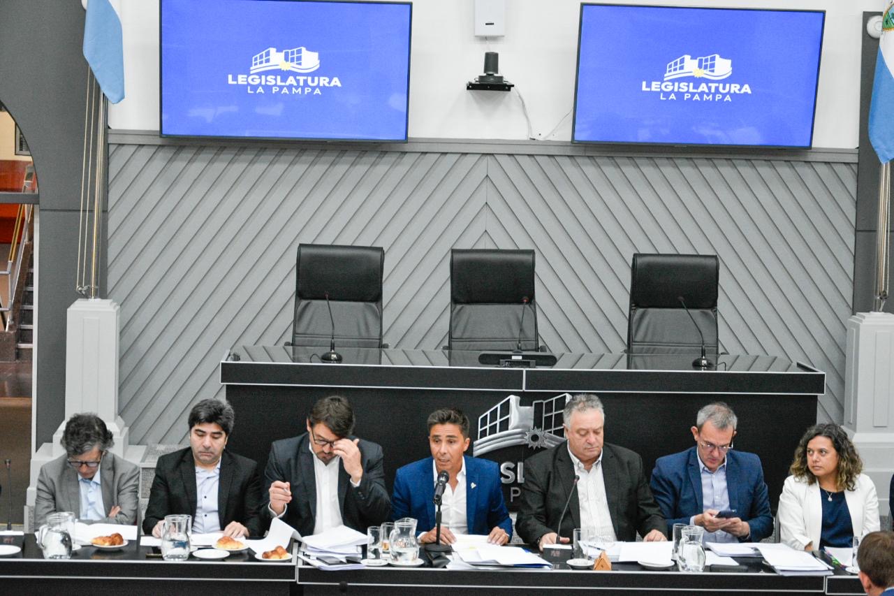 intronati en la legislatura dos