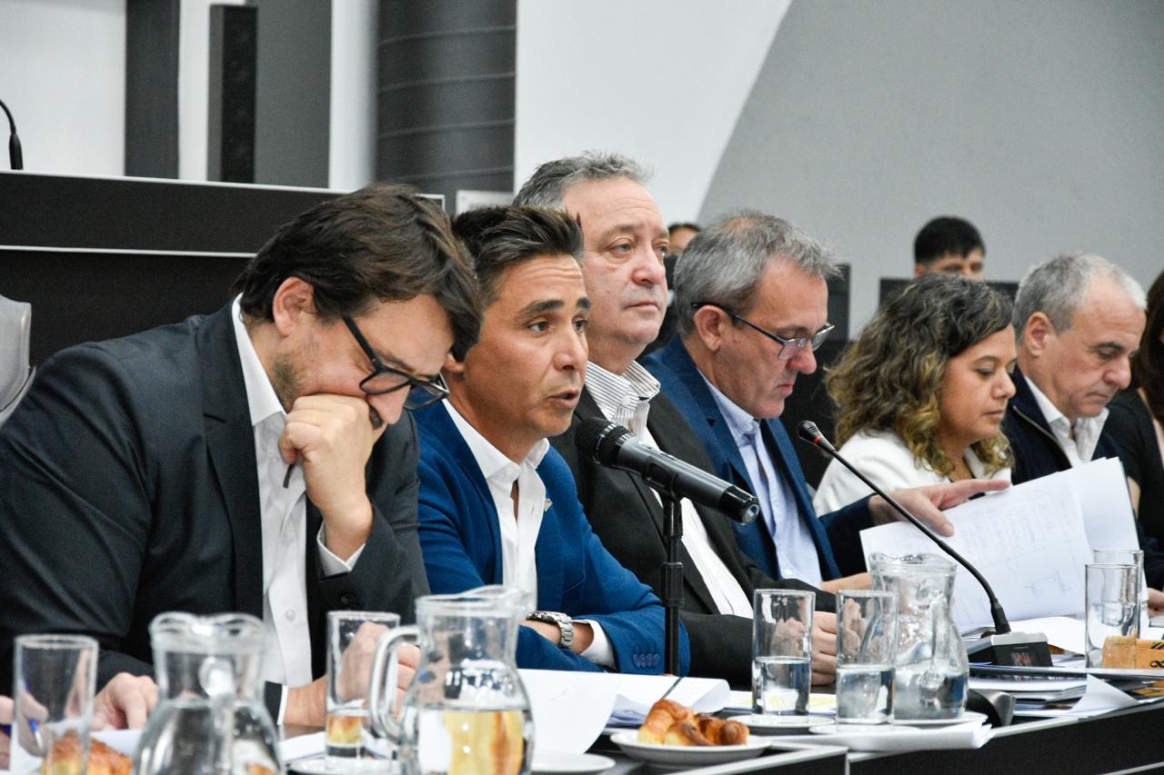 intronati en la legislatura