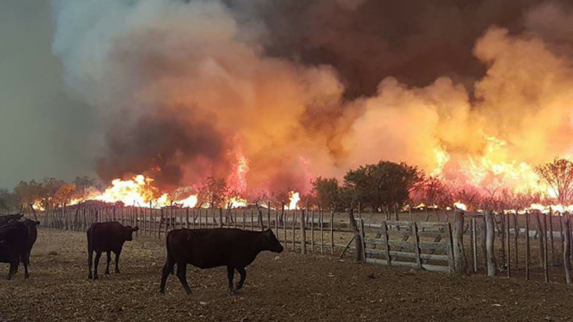 Fuego en La Pampa