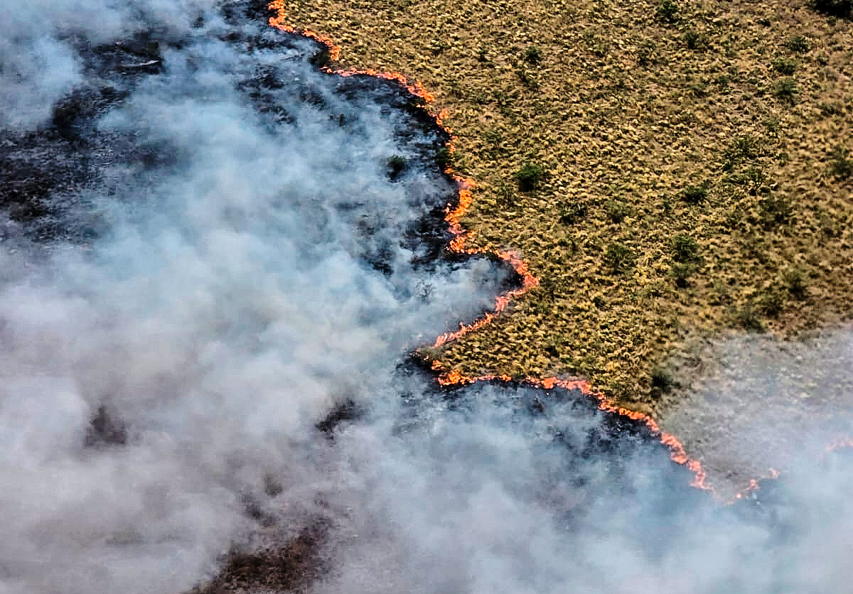 incendios la pampa dos