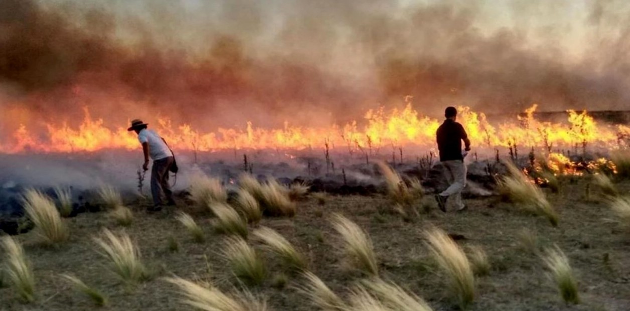 la pampa incendios
