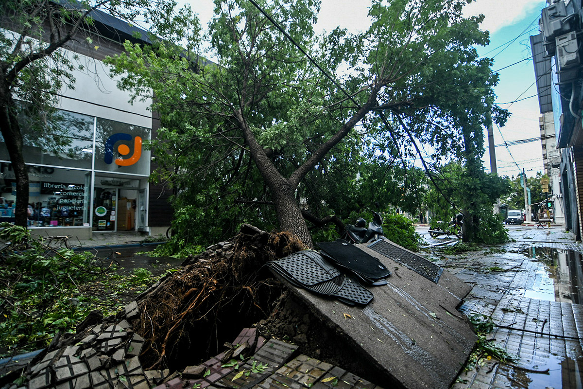 tormenta en santa rosa la dag 13