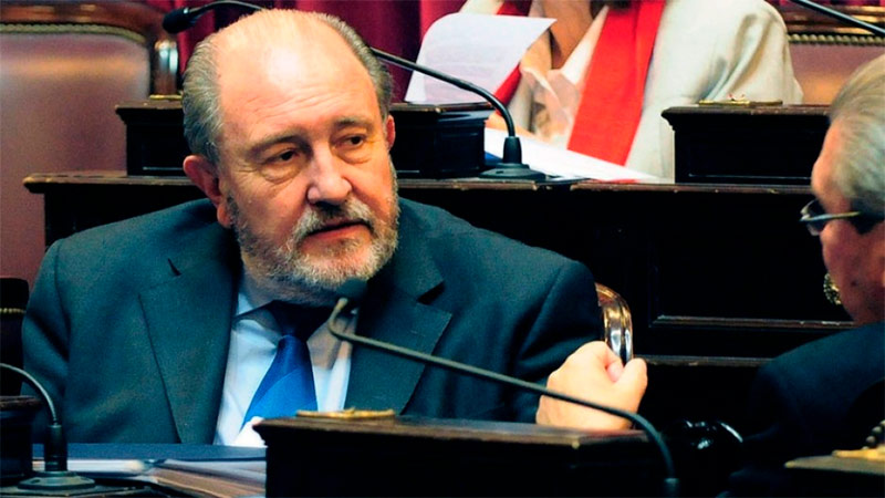 verna senador