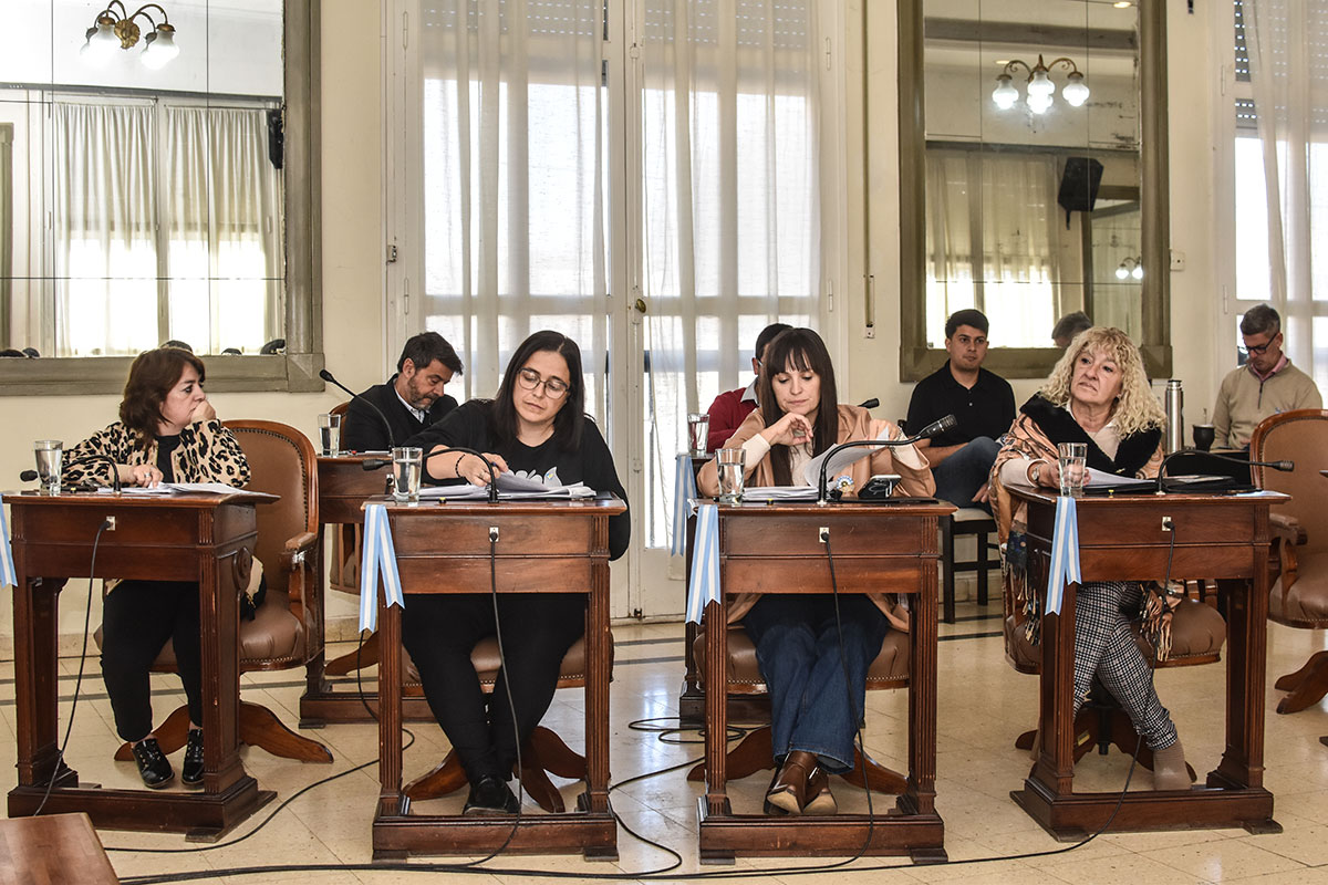 concejo deliberante ladag 2025