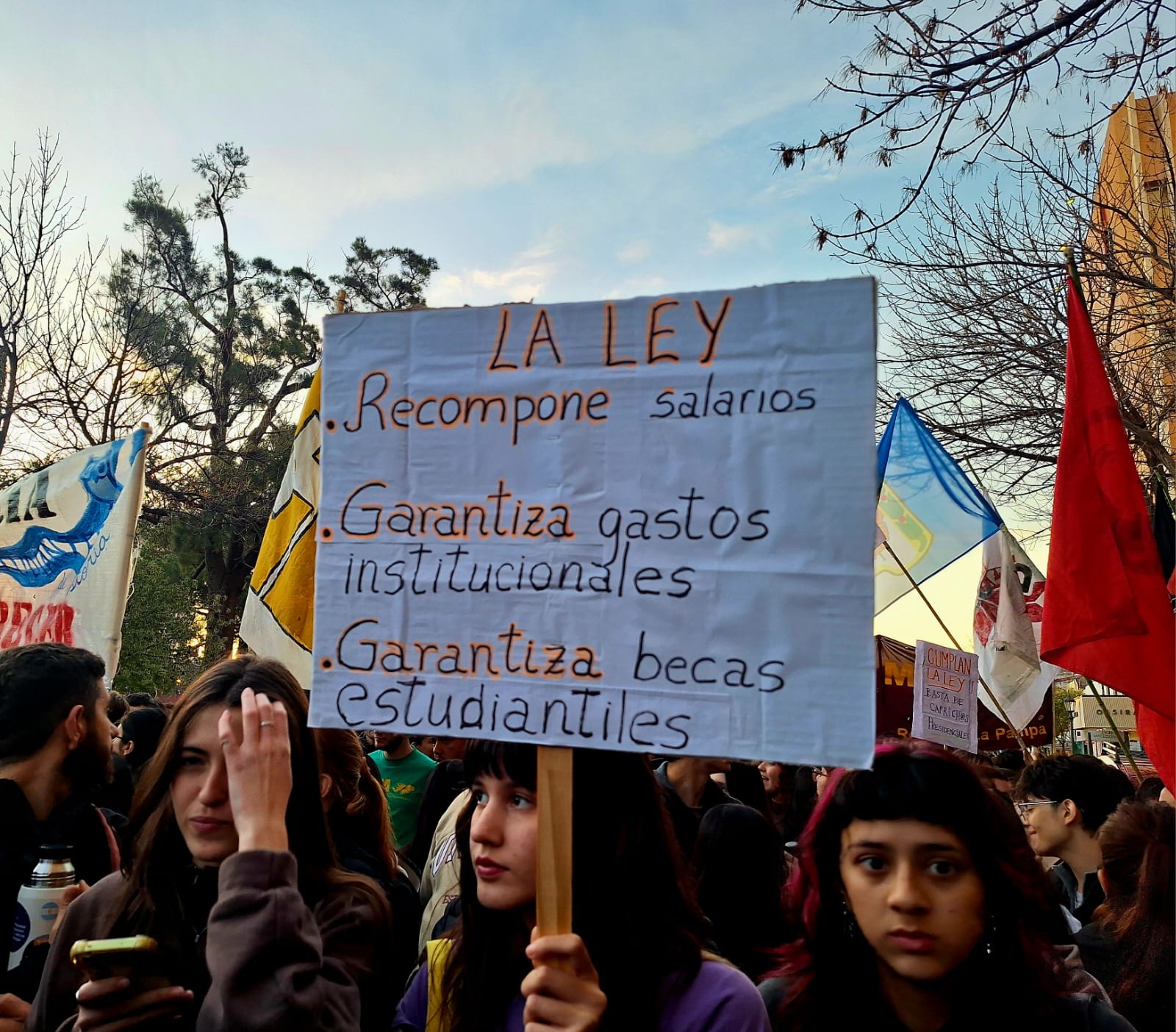 marcha federal santa rosa 3