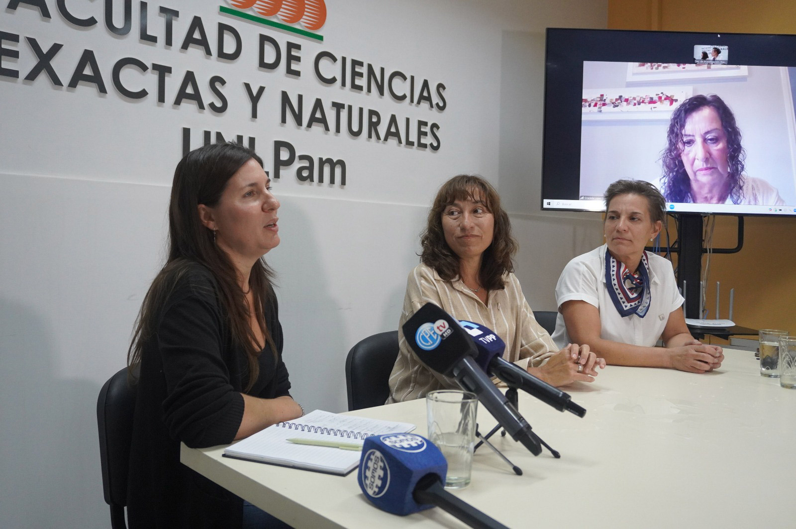 diplomatura genero cinco