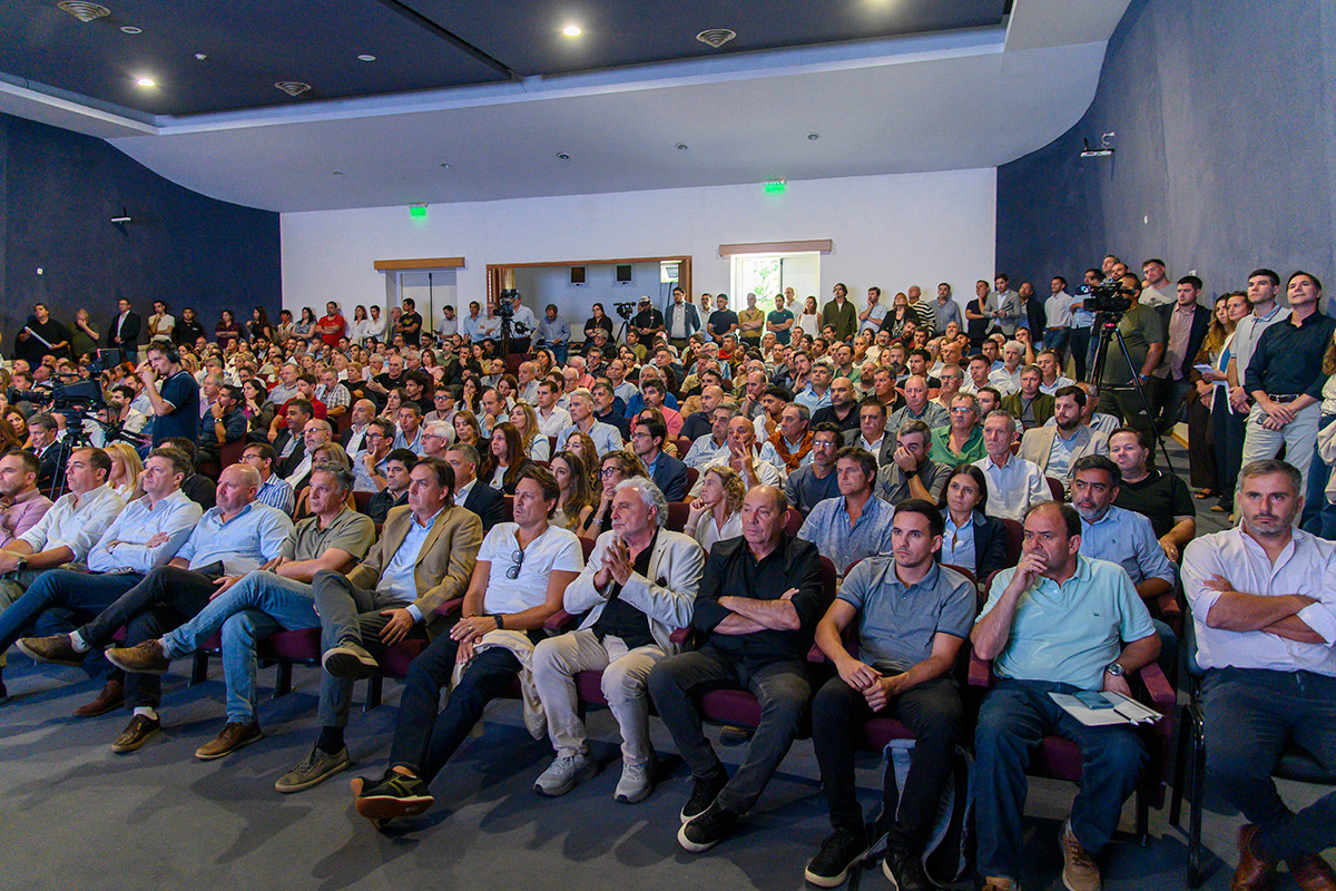 meneguzzi presentacion